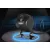 REAR VIEW REVERSE PARKING CAMERA HD STARLIGHT NIGHT VISION VEHICLE BACKUP CAMERA