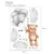 LOVELY BEAR WITH BALLOON BEDROOM WALL STICKERS FOR KIDS ROOMS GIRLS NURSERY DECORATION