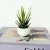 POT PLANTS FAKE FLOWERS ARTIFICIAL PLANTS BONSAI TABLE POTTED ORNAMENTS HOME DECORATION