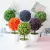 ARTIFICIAL POTTED PLANT BONSAI PLASTIC FLOWERPOT ORNAMENTS SIMULATION PLANTS GRASS