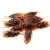 12PCS FUNNY FAKE COCKROACH HALLOWEEN PARTY DECORATION TRICK PROPS ARTIFICIAL ROACH
