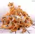 TIGER PLUSH TOY SIMULATION TIGER SOFT STUFFED ANIMAL TOY DOLL KIDS GIFT STUFFED ANIMALS
