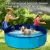 DOG POOL DOG PADDLING POOL DOG SWIMMING POOL, (80 X 20 CM), PUPPY BATHING TUB DO