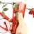 DIY Cut Tool Florist Metal Gardon Flower Rose Thorn Stem Leaf Stripper Rose Plier