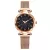 LUXURY WOMEN MAGNETIC STARRY SKY WATCH - QUARTZ WRISTWATCH FOR WOMEN