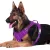 BARKBAY NO PULL DOG HARNESS FRONT CLIP HEAVY DUTY REFLECTIVE EASY CONTROL HANDLE FOR LARGE DOG WALKING WITH ID TAG POCKET(PURPLE)