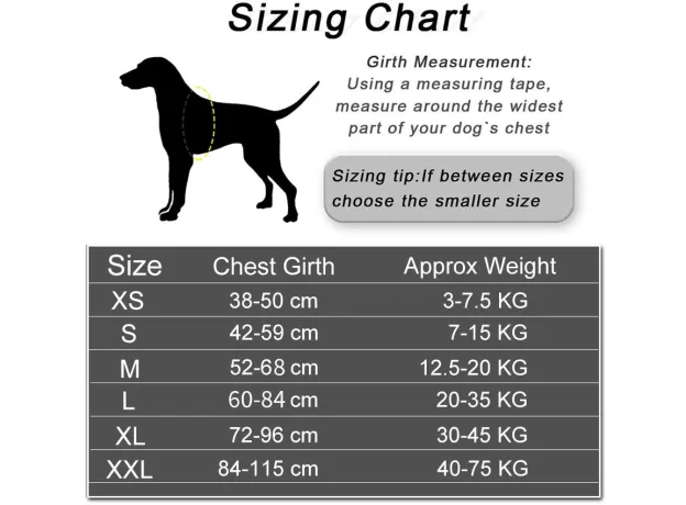 PERSONALIZED NO PULL DOG HARNESS – REFLECTIVE ADJUSTABLE CUSTOM ID PET VEST