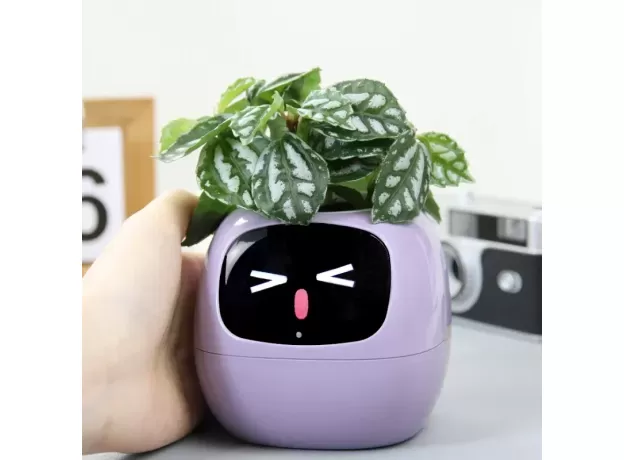 SMART POTS FOR PLANTS - SMALL FLOWER POTS - BEST DESKTOP PLANTS - AI PLANTER - MULTIPLE EXPRESSIONS - SMART SENSORS