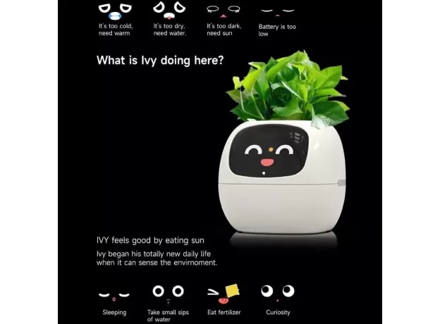 SMART POTS FOR PLANTS - SMALL FLOWER POTS - BEST DESKTOP PLANTS - AI PLANTER - MULTIPLE EXPRESSIONS - SMART SENSORS