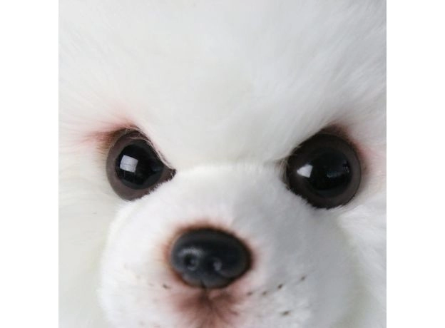 PLUSH POMERANIAN DOG DOLL SIMULATION DOG STUFFED ANIMAL TOYS SUPER REALISTIC DOG TOY
