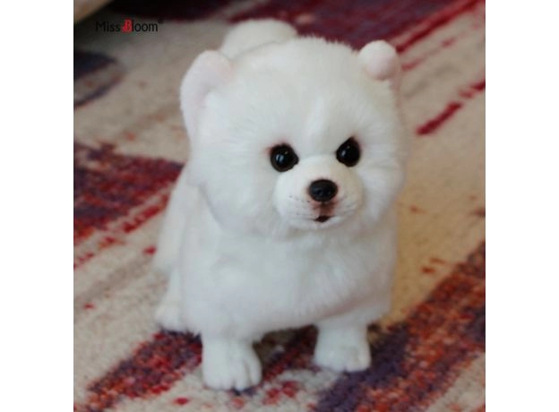 PLUSH POMERANIAN DOG DOLL SIMULATION DOG STUFFED ANIMAL TOYS SUPER REALISTIC DOG TOY