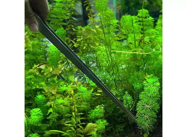STAINLESS STEEL CURVED AQUARIUM TWEEZERS AQUARIUM PLANT SHRIMP REEF TWEEZER FISH TANK CLEANER