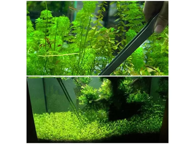 STAINLESS STEEL CURVED AQUARIUM TWEEZERS AQUARIUM PLANT SHRIMP REEF TWEEZER FISH TANK CLEANER