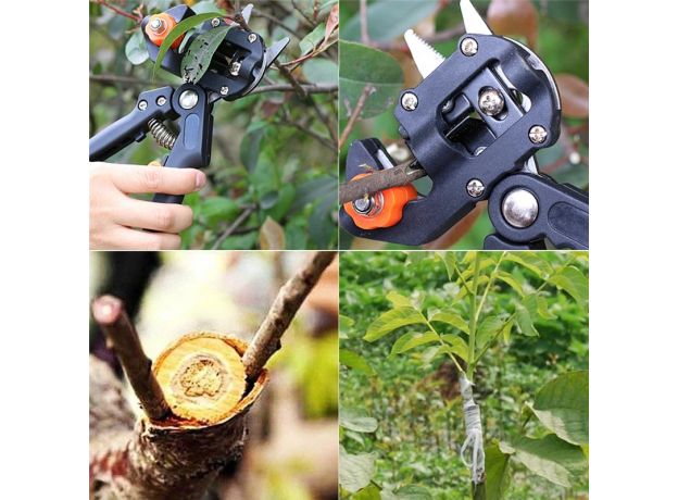 Garden Grafting Tool Professional Branch Cutter Secateur Pruning Plant Shears Boxes Fruit Tree