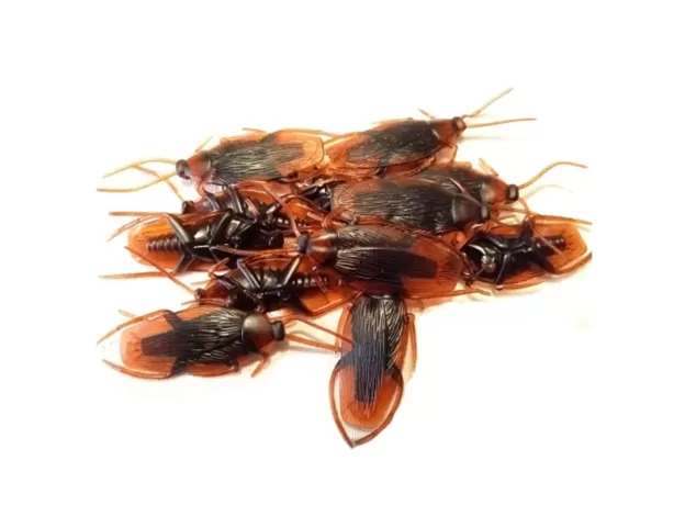 12PCS FUNNY FAKE COCKROACH HALLOWEEN PARTY DECORATION TRICK PROPS ARTIFICIAL ROACH