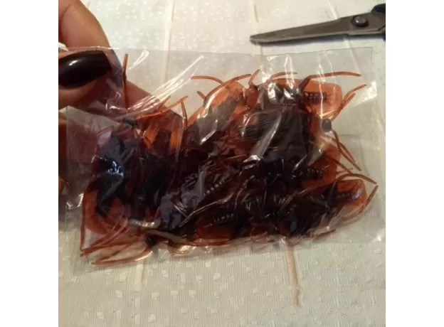 12PCS FUNNY FAKE COCKROACH HALLOWEEN PARTY DECORATION TRICK PROPS ARTIFICIAL ROACH