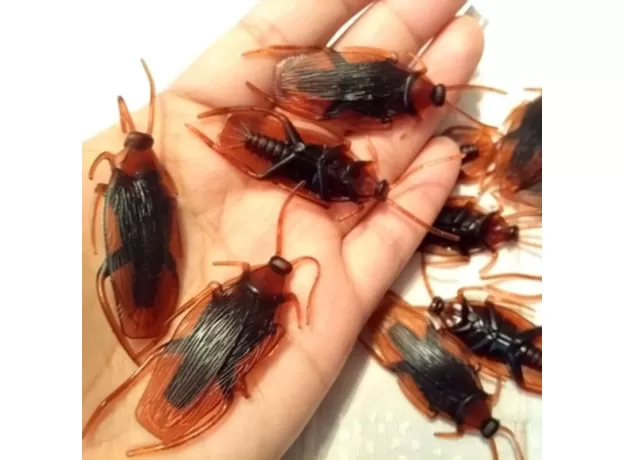 12PCS FUNNY FAKE COCKROACH HALLOWEEN PARTY DECORATION TRICK PROPS ARTIFICIAL ROACH
