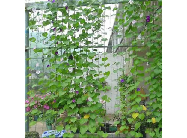 1.8X1.8M NEW GARDEN GREEN NYLON TRELLIS NETTING SUPPORT CLIMBING BEAN PLANT