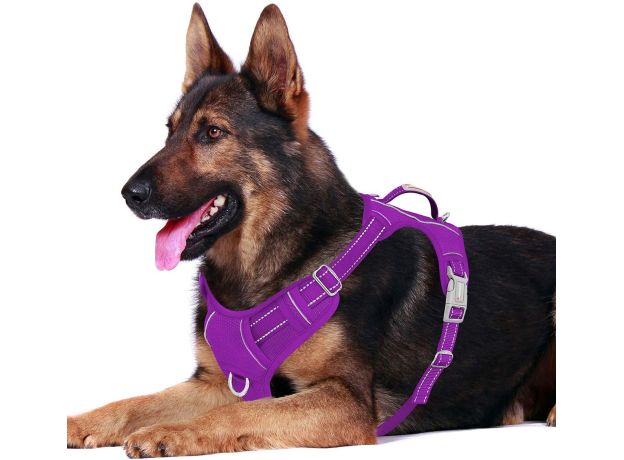 BARKBAY No Pull Dog Harness Large Step in Reflective Dog Harness with Front Clip and Easy Control Handle for Walking Training Running with ID tag Pocket Grey,XL 
