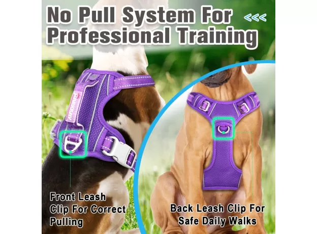 BARKBAY NO PULL DOG HARNESS FRONT CLIP HEAVY DUTY REFLECTIVE EASY CONTROL HANDLE FOR LARGE DOG WALKING WITH ID TAG POCKET(PURPLE)