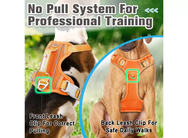 BARKBAY NO PULL DOG HARNESS FRONT CLIP HEAVY DUTY REFLECTIVE EASY CONTROL HANDLE FOR LARGE DOG WALKING WITH ID TAG POCKET(ORANGE,XL)